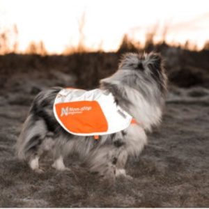 Mantellina visibilità