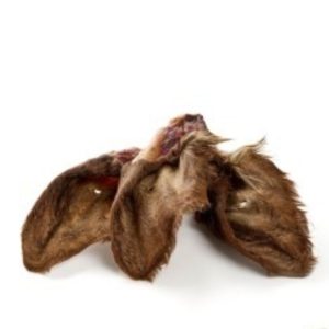 Orecchie di Manzo con Pelo (5 pz)