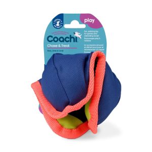 Coachi Treat Ball