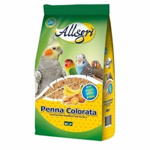 Allegrì Penna Colorata Pastoncino per Pappagallini e Esotici
