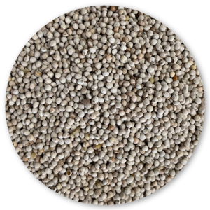 Bird Semi di Perilla Bianca per Volatili e Roditori