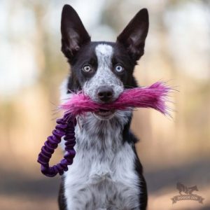 Tug Pocket con Maniglia Bungee