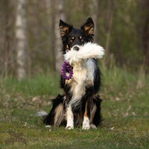 Tug Bungee Pocket in Pelo di Pecora