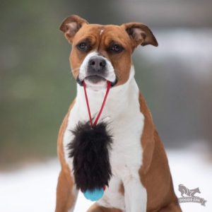 Tug Pocket in Pelo di Pecora e Pallina Chuckit