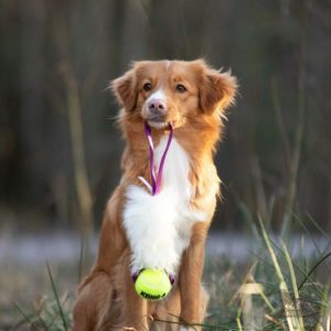 Tug Pocket in Pelo di Pecora e Pallina Kong