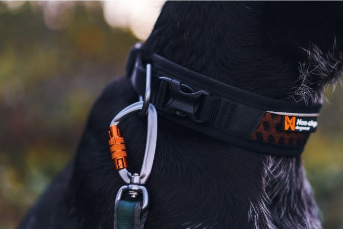 Rock Adjustable Collar - immagine 5