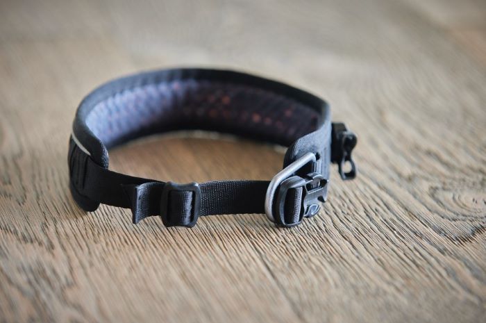 Rock Adjustable Collar - immagine 7