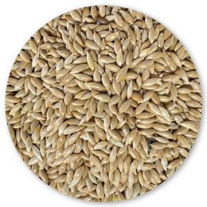 Bird Semi di Scagliola per Volatili e Roditori