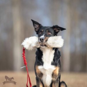 Tug Bungee in Pelo di Pecora