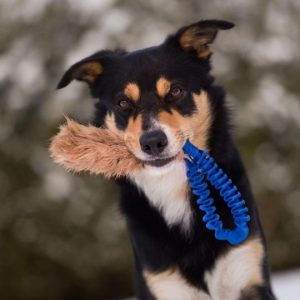 Tug Pocket Bungee in Pelo di Coniglio