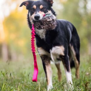 Tug Bungee Porta Snack in Pelo di Coniglio