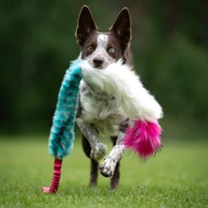 Tug Bungee in Pelo Sintetico e Pecora con Squeek