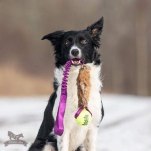 Tug Bungee in Pelo di Coniglio con Pallina Kong Air Squeek