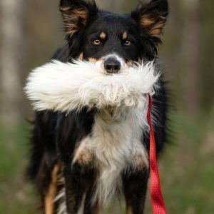 Tug Maniglia Lunga Bungee in Pelo di Pecora