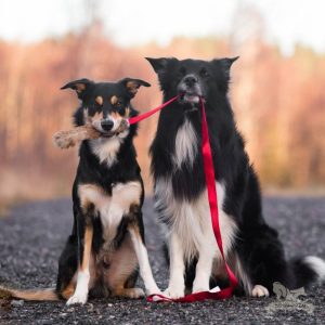Tug Lungo in Vero Pelo di Coniglio