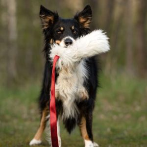 Tug Maniglia Lunga in Pelo di Pecora