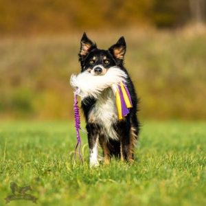 Tug Bungee in Pelo di Pecora e Tentacoli in Pile