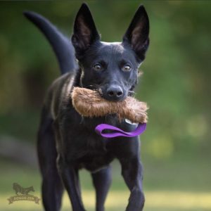 Tug Pocket in Pelo di Coniglio