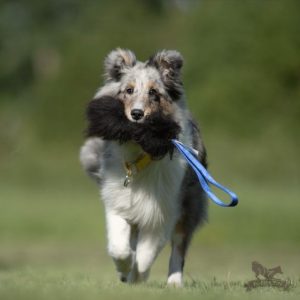 Tug Pocket in Pelo di Pecora