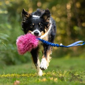 Tug Bungee Porta Snack in Pelo