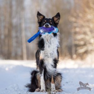 Tug Porta Snack con Pallina