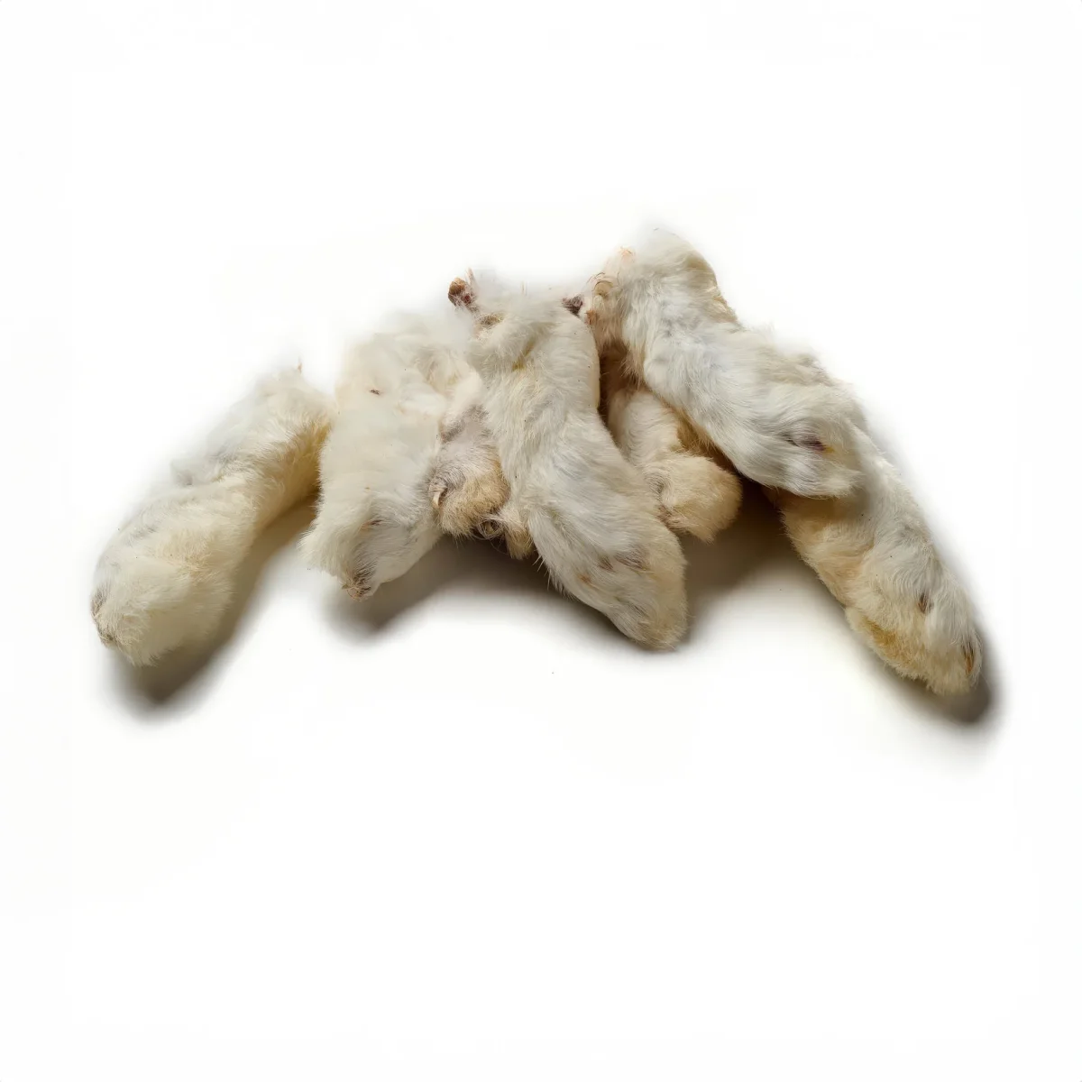 Zampe di coniglio con pelo(100 g) - immagine 2